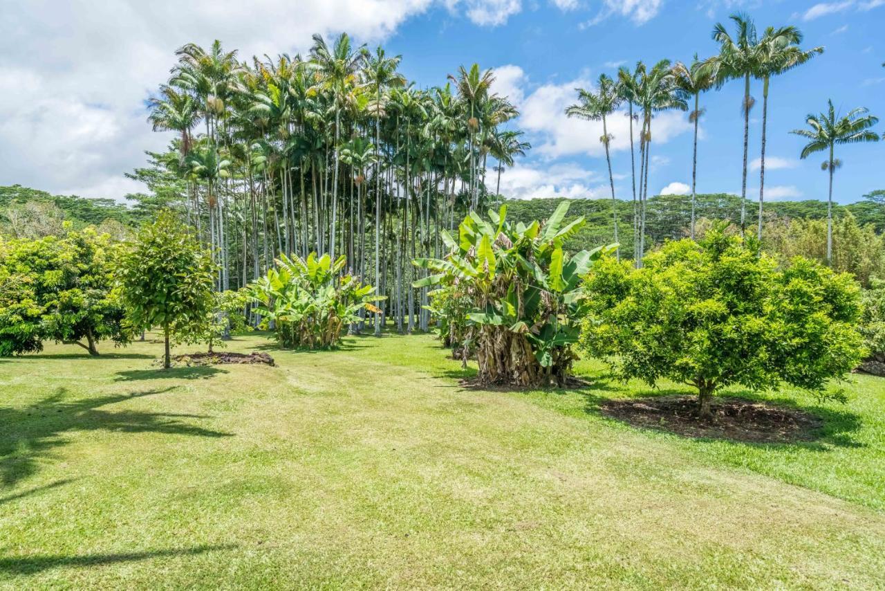 Old Hawaiian Bed And Breakfast Hilo Luaran gambar