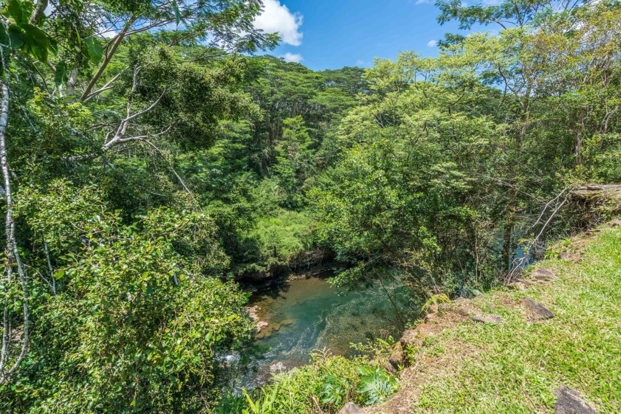 Old Hawaiian Bed And Breakfast Hilo Luaran gambar