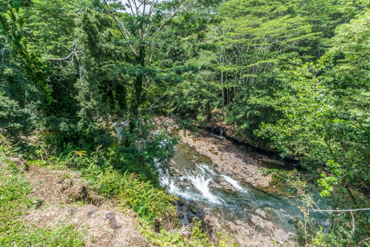 Old Hawaiian Bed And Breakfast Hilo Luaran gambar