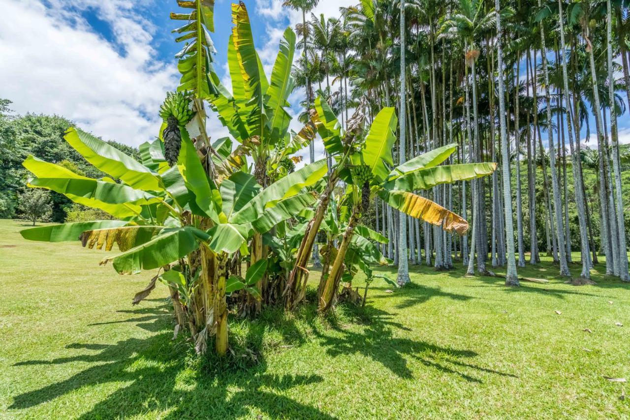 Old Hawaiian Bed And Breakfast Hilo Luaran gambar