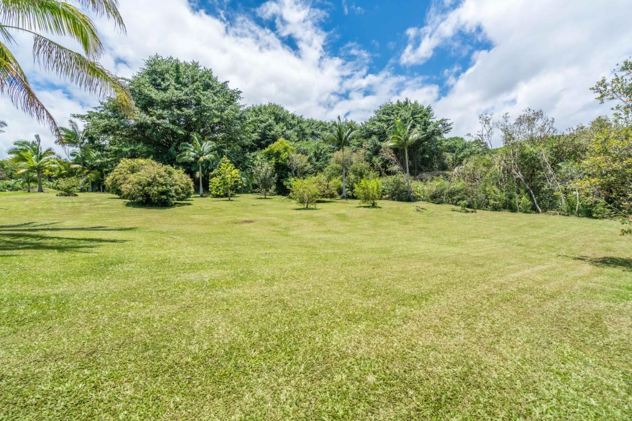 Old Hawaiian Bed And Breakfast Hilo Luaran gambar