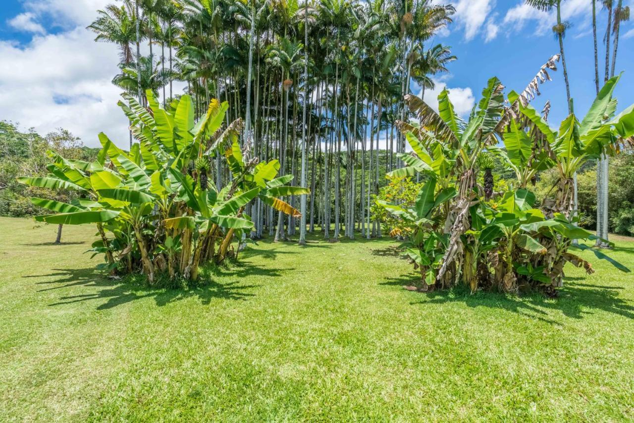 Old Hawaiian Bed And Breakfast Hilo Luaran gambar