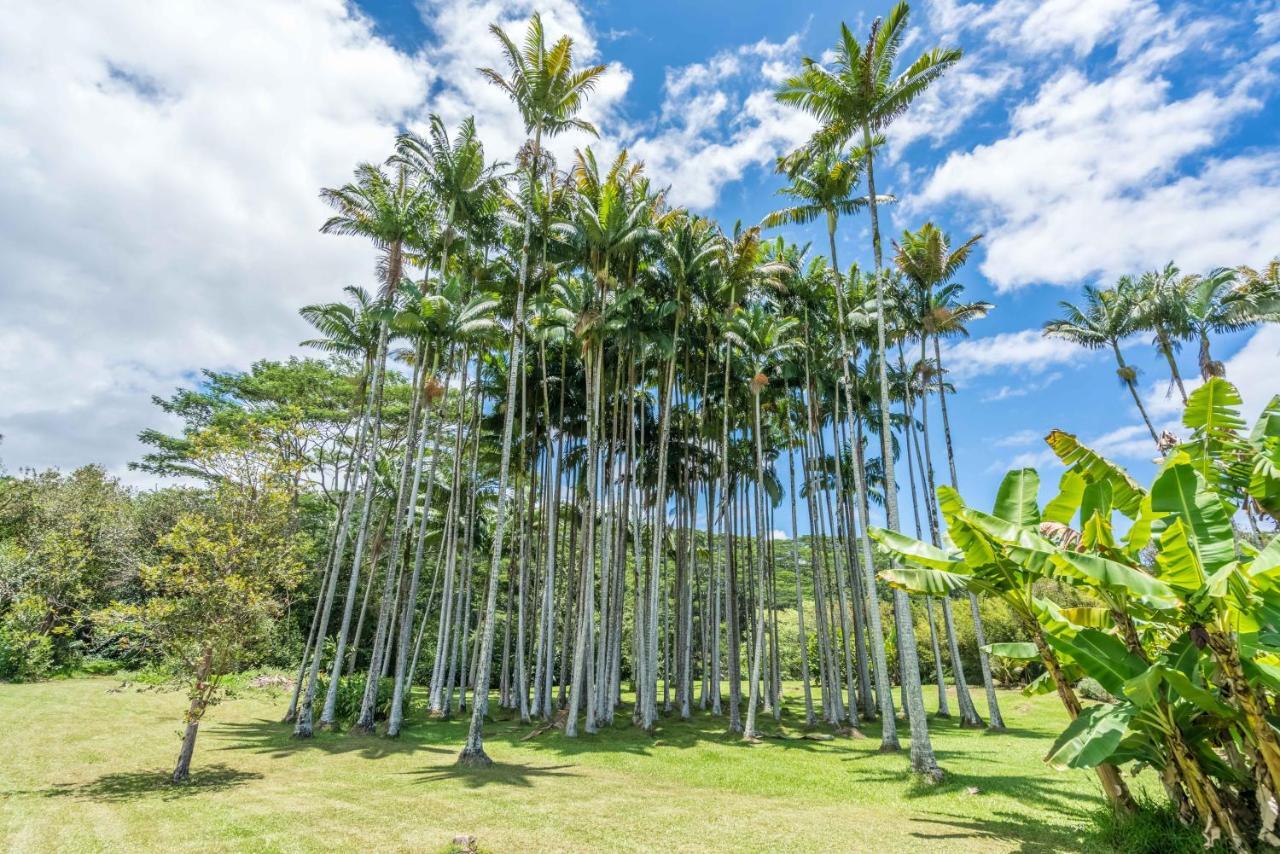 Old Hawaiian Bed And Breakfast Hilo Luaran gambar